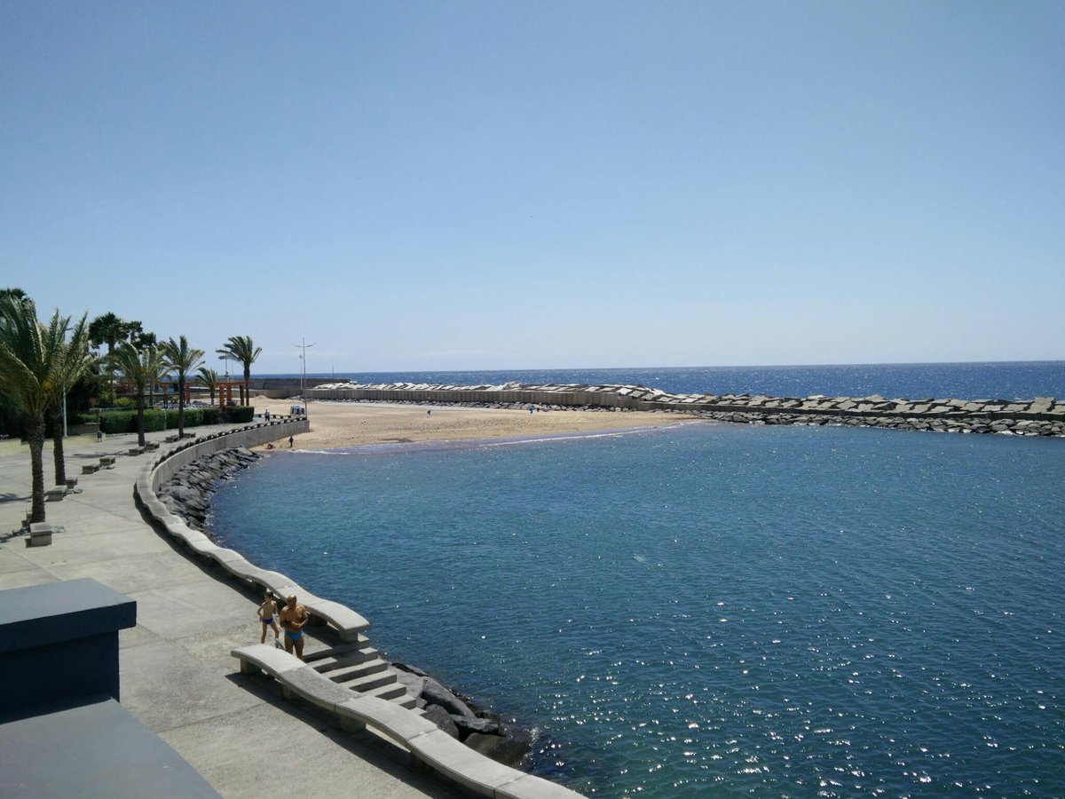 Linda Machado tweet media