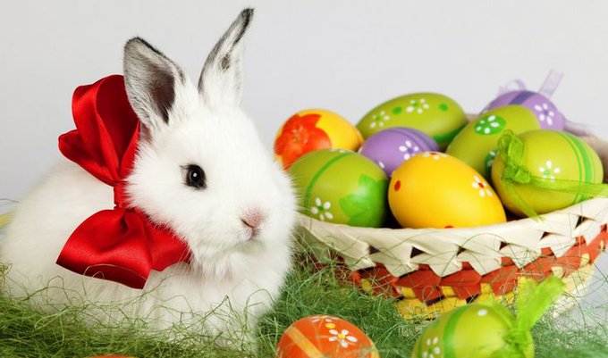 Happy Easter Everybody 🐰💐💚🐣😘 http://t.co/sxYF7diPKu<a href="/tag/barbie"class="tags"><span>#barbie</span></a><a href="/tag/fakelips"class="tags"><span>#fakelips</span></a>