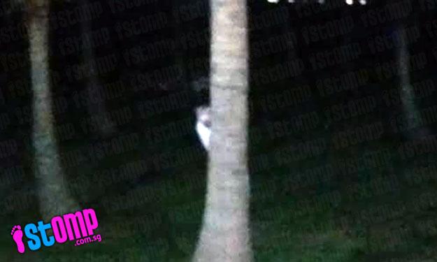 Embedded image permalink