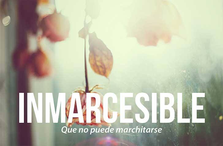 asebaqueiro's tweet photo. #EsDeGramatica http://t.co/QSTTpCiIX9