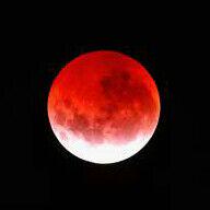 Blood moon. .photo taken 4/4 in Israel. Let you think.