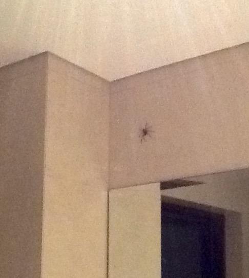 Emma Jones tweet media