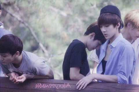 16c4ba9ceae2467's tweet photo. Exo fighting ^^^^ chajo chajo http://t.co/vTOKddA9v9