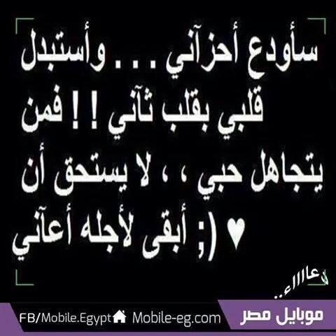 حكمة اليوم