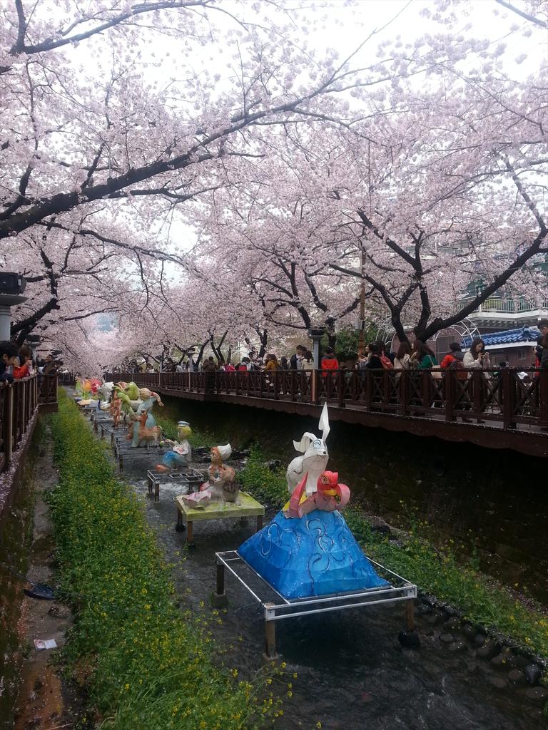 UstadzMafrur's tweet photo. Foto tdi di jinhae cherry blossom fstival
Indah bgt
Kmera tak kn prnah mngalhkan liat lngsung dg mata sndiri :) http://t.co/NbfJMuFvs0