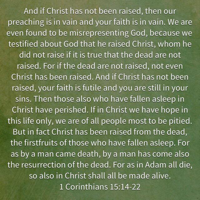 MinistryFocus's tweet photo. Happy Easter! Christ has been raised from the dead and in him we have hope! Alleluia! http://t.co/UFQpwZDbmu