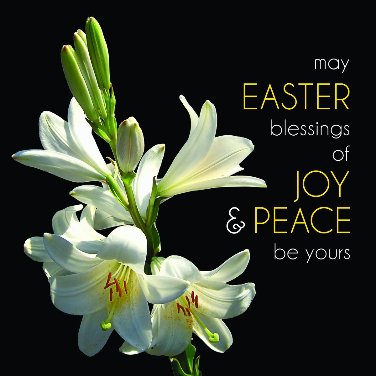 PARCManagement's tweet image. Wishing you all a Happy Easter!