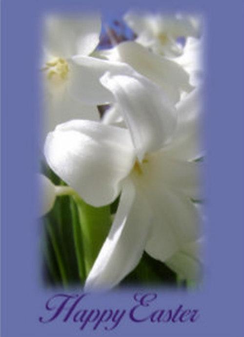 gseclecticattic's tweet photo. #HappyEaster http://t.co/mpw1QKwUc7