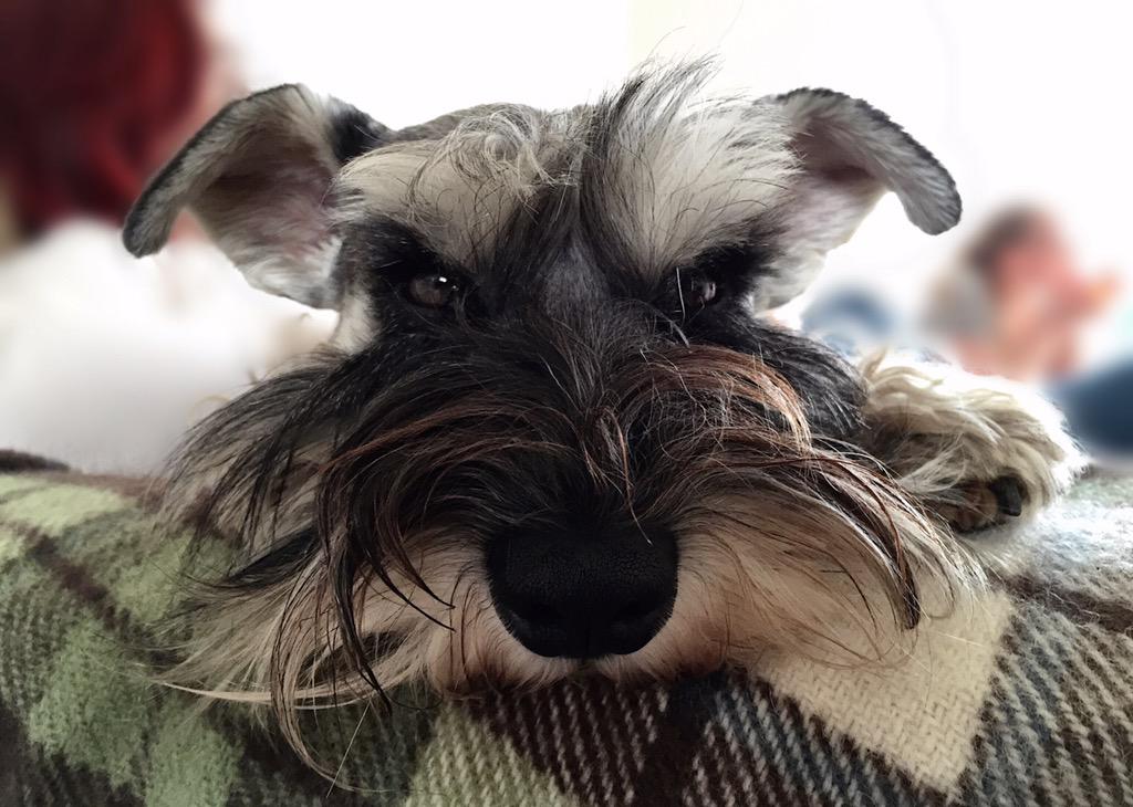 minimollyw's tweet photo. What you lookin' at? http://t.co/9W3mEa5bCX