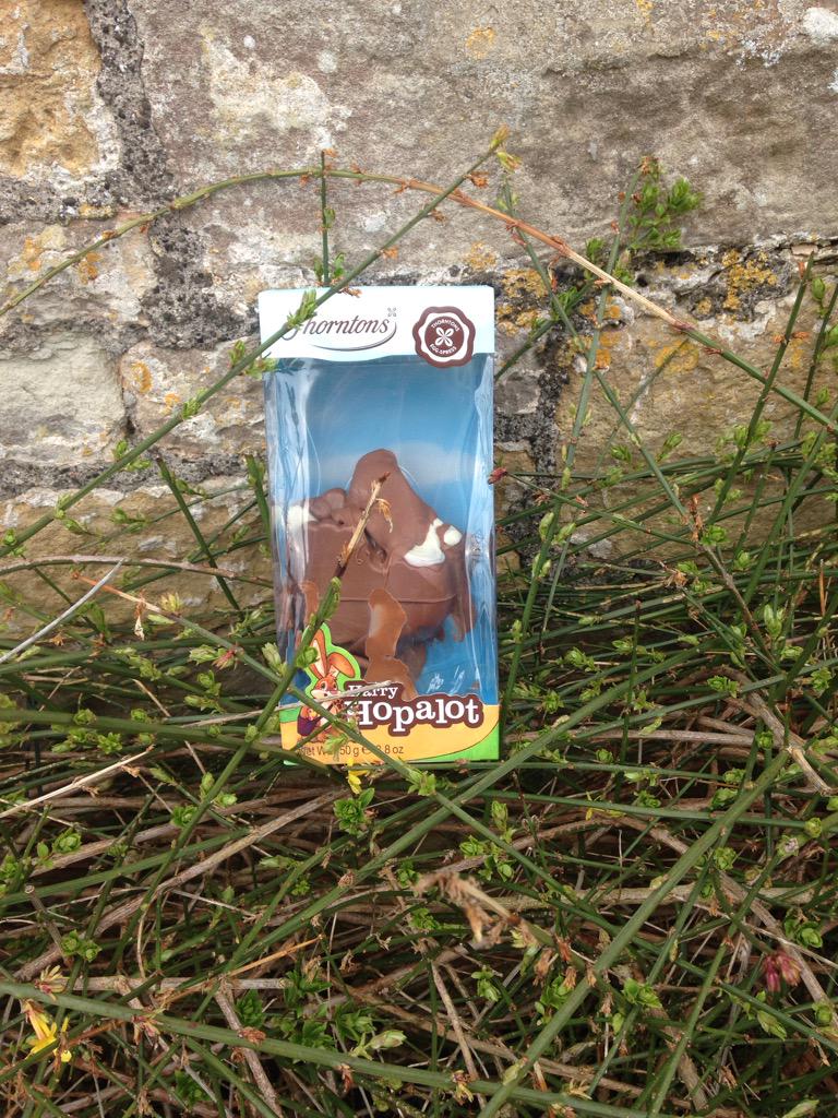 ssanstey's tweet photo. Easter bunny failed to find a shady spot for Harry-hop-a-lot 😢 🐰🐣@thorntonschocs http://t.co/4ih8VuzL3w