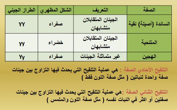 تختلف الصفة السائدة عن الصفة المتنحية بأنها بيت العلم