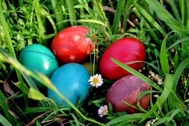TenutaBonzara's tweet photo. Buona Pasqua a tutti voi e alle vostre famiglie!! Happy Easter!! #bologna #collibolognesi #sanchierlo http://t.co/A5Y7HSvPc4