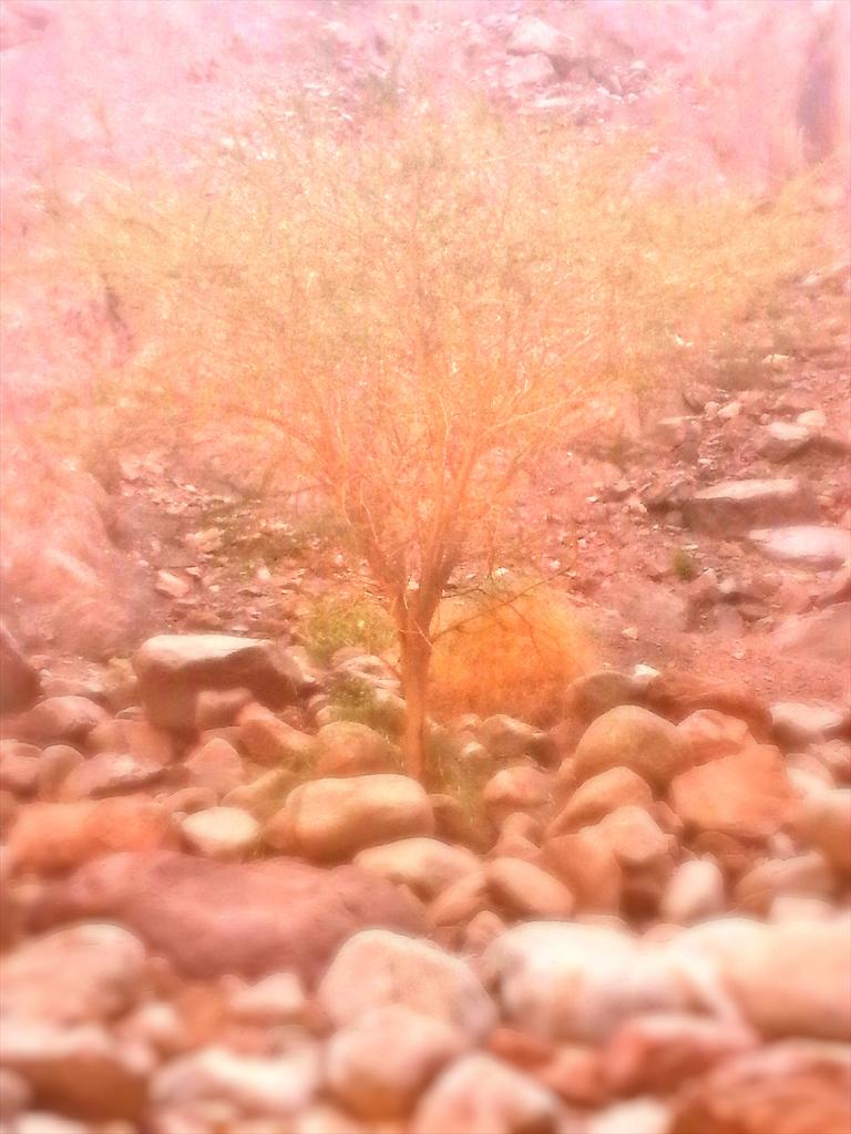 IL_JLM's tweet image. #IsraelIsStillWaitingFor1D 
              #Israel 💖