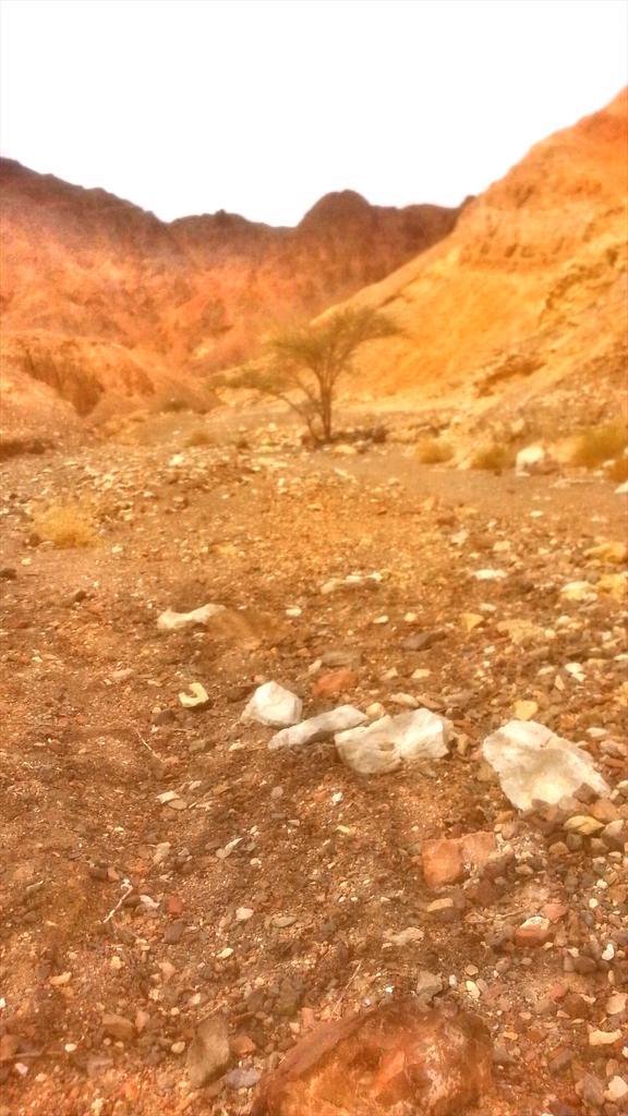 IL_JLM's tweet image. #IsraelIsStillWaitingFor1D 
              #Israel 💖