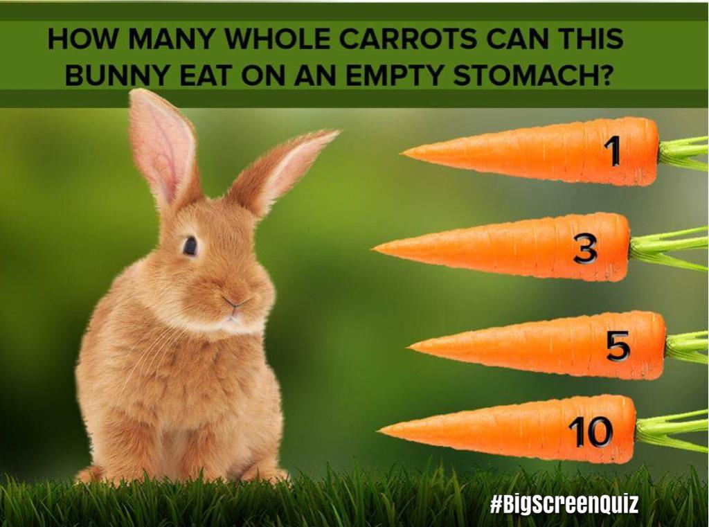 BigScreenQuiz's tweet photo. #EasterTeaser How many whole Carrots can this Bunny eat on an Empty stomach ?
@Quizbritain @twiznight @CarlowTours http://t.co/rEwBT5IrXZ