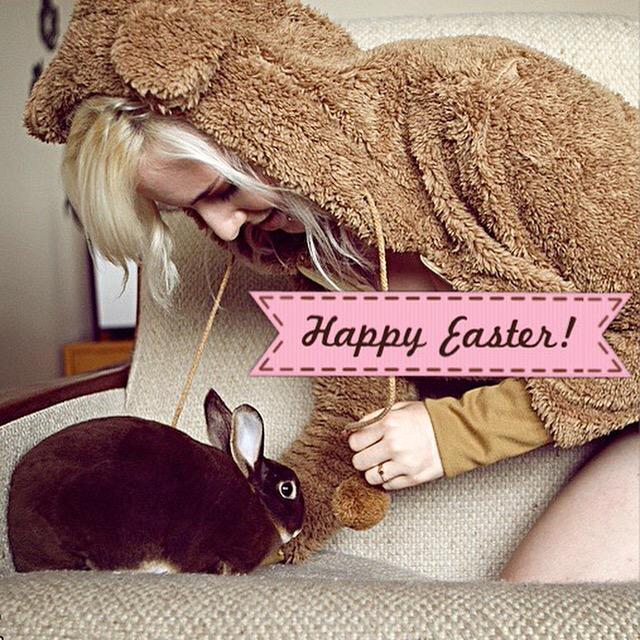 And another special bunny! #bunniesofTO