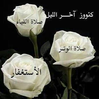 Benefits_hadith's tweet photo. كنوز آخر الليل ،،،، http://t.co/7XylGBFlz7
