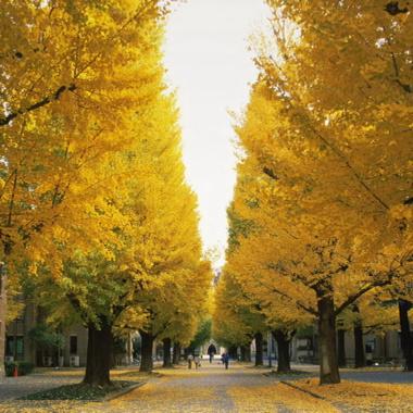 EiziFor's tweet photo. http://t.co/xnuel9TWfB