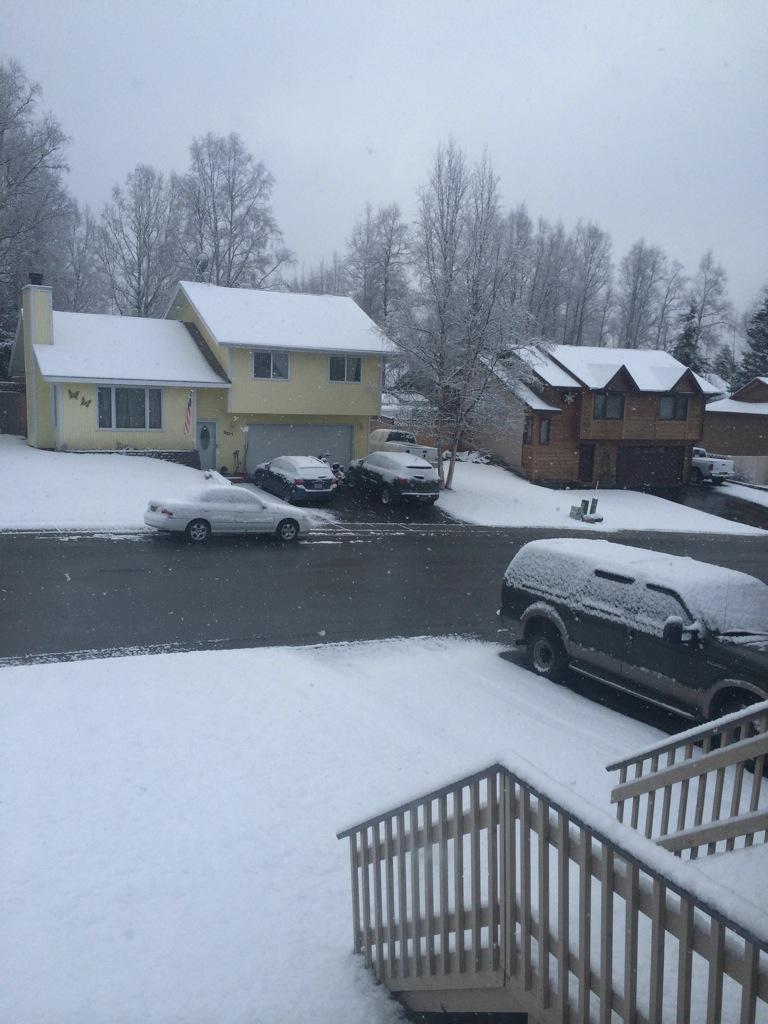 Zahni_Mo's tweet photo. When you think winter is over in AK, the easter bunny surprises you... http://t.co/sqY51S2r24