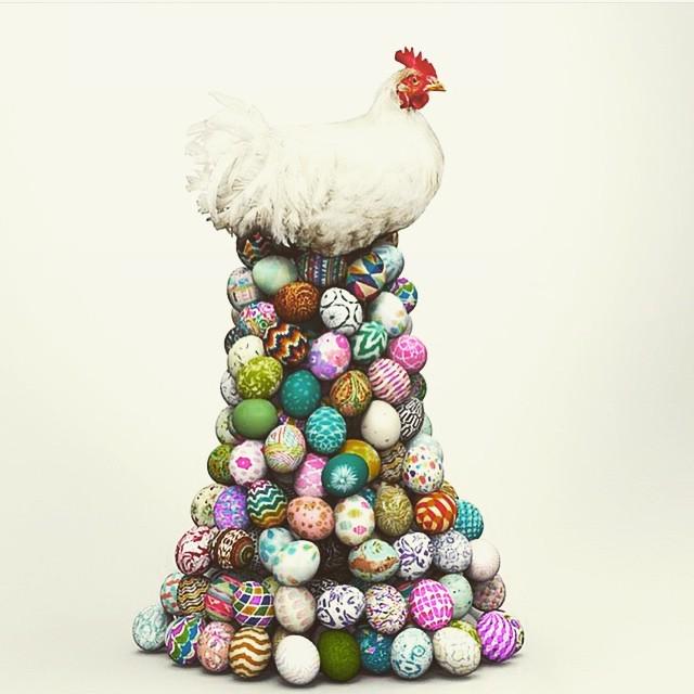 PetPure's tweet image. Happy Easter. May you have a fantastic time with your friends, family and of course your p… ift.tt/1D7Yv7u