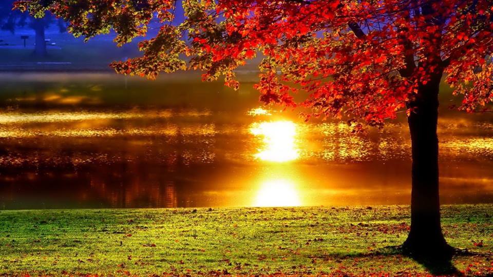 RockChristopher's tweet photo. thankfulness is a path to happiness. ~ #RockC #JoYTrain || https://t.co/vAgwTQVl4c #Photo via @Drc_19