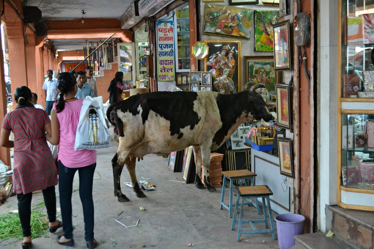 WeltlustBlog's tweet image. Must Do's in #Indien? Bitteschön! bit.ly/1MSZjmZ  #india #indien #travel #travelblogger #IncredibleIndia