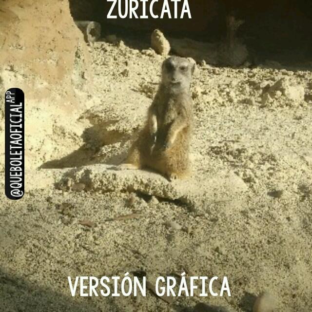 emilypao01's tweet photo. @ElJuanpaZurita 🌚🌚🌚🌚🌚 créditos: a mi y a la zuricata del zoológico 😂 http://t.co/vNs8me6Qz2