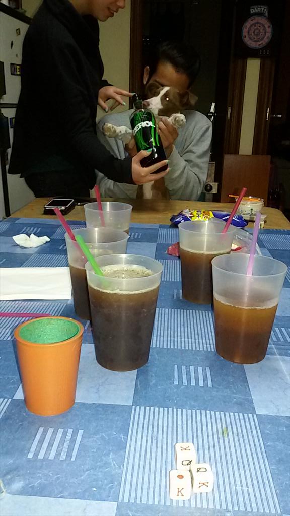 MBerja8's tweet photo. Pues de mona que estamos💃🍻 @jamy91 @sarasanchez12 @thegrancharly1 #Micó #Mario http://t.co/tAa5rLxezK