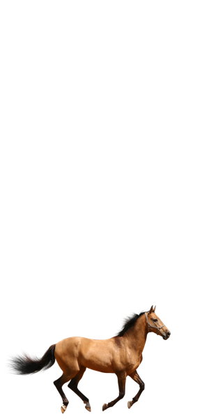 swipe up tweet media