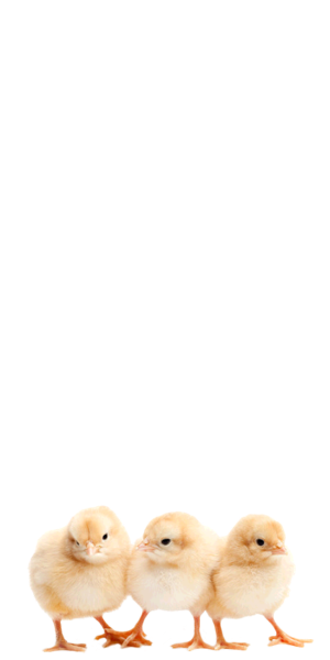 swipe up tweet media