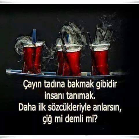 Hamdullah Kandemir (@lhmdlllh) on Twitter photo 