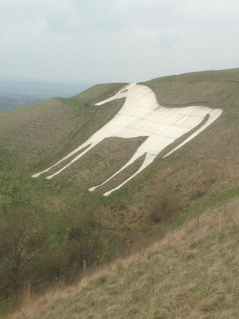 SilkwoodPaints's tweet image. Thoroughly recommend the White horse walk found on the @VisitWiltshire website. The whole family and dogs loved it.