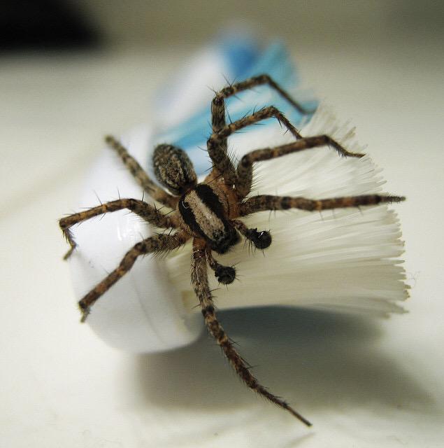abidify's tweet photo. RT in 10 seconds or find a surprise in your bathroom! http://t.co/ojv9nxIv9F