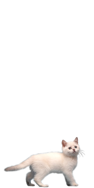 swipe up tweet media