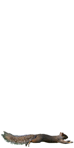 swipe up tweet media