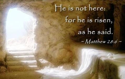 WoodallOrtho's tweet photo. Happy Easter! http://t.co/yl74b5I0Bh