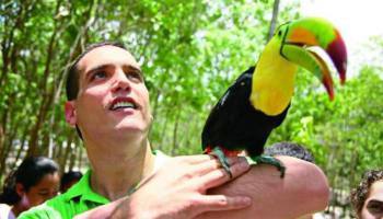 Si ya tuvieron suficiente del PVEM, firmen la petición para que el INE le quite el registro sopit.as/1CqAUcY