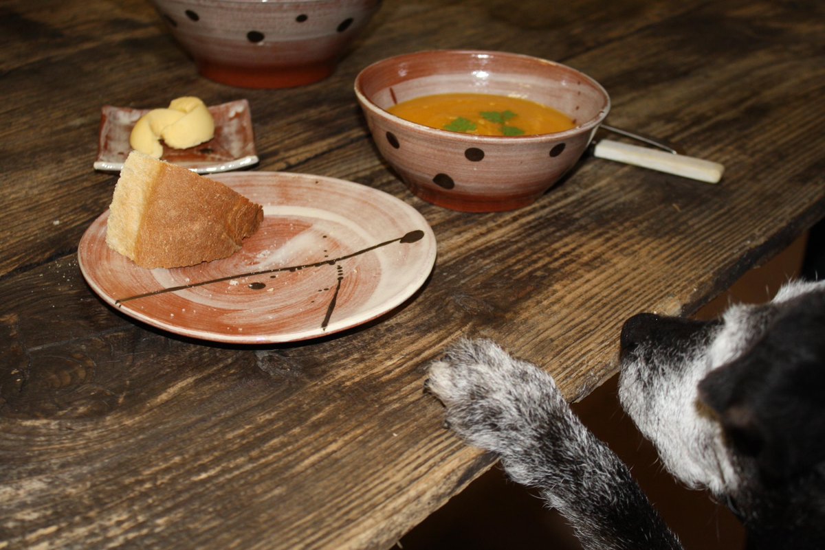 timthegribyn's tweet image. Photo session at #Gribynpottery with assistant checking out the quality on #breadpot loaf.