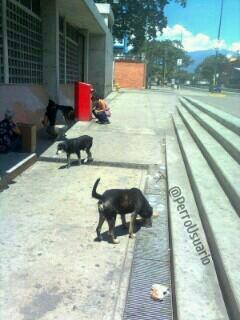 Si hoy nos ves y puedes darnos tu mano amiga, te lo vamos a agradecer ... Cada día somos más en las Estaciones 😢