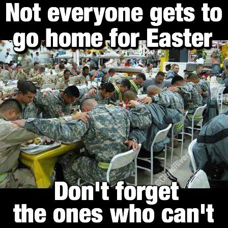 CloydRivers's tweet photo. Salute the troops. Merica. http://t.co/IdcDA8ajTZ