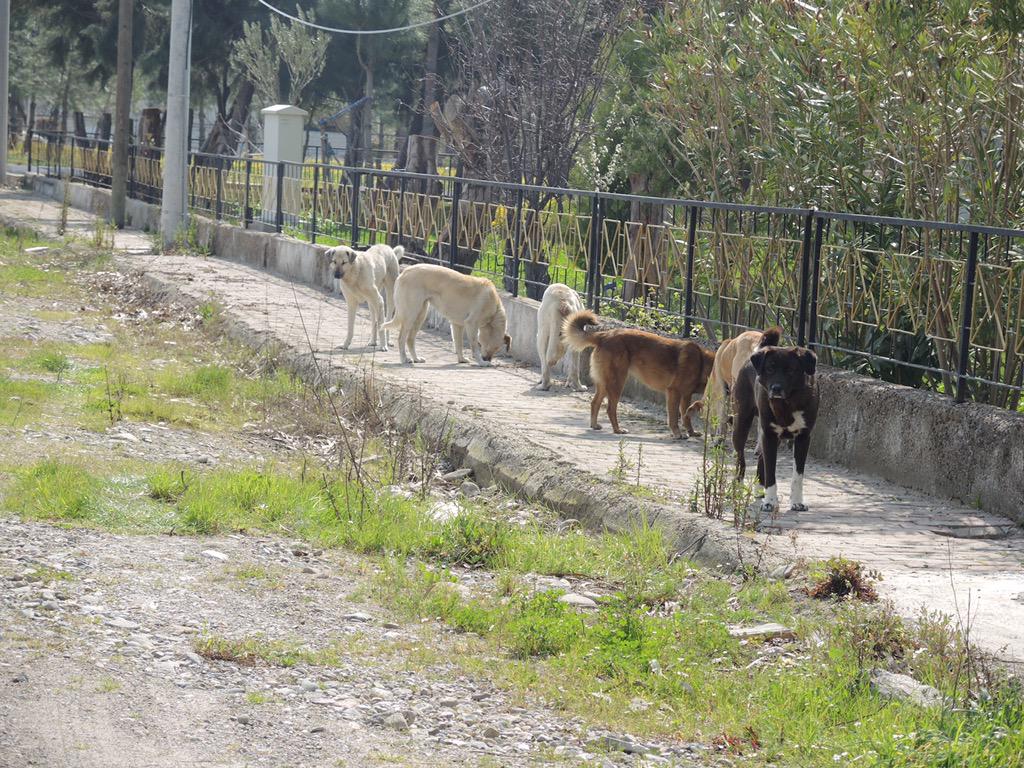 pdf hydrogeology principles