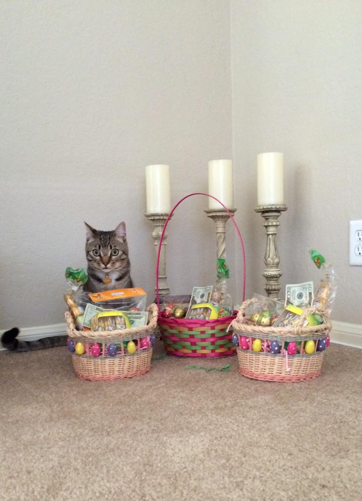 ClarkPCat's tweet image. #HappyEaster