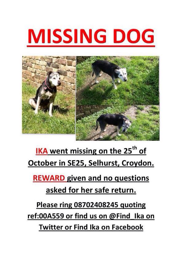 Missing Pets GB tweet media