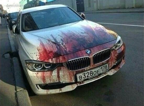 фолловлю взаимно