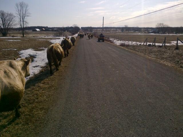 Grandview Farms tweet media