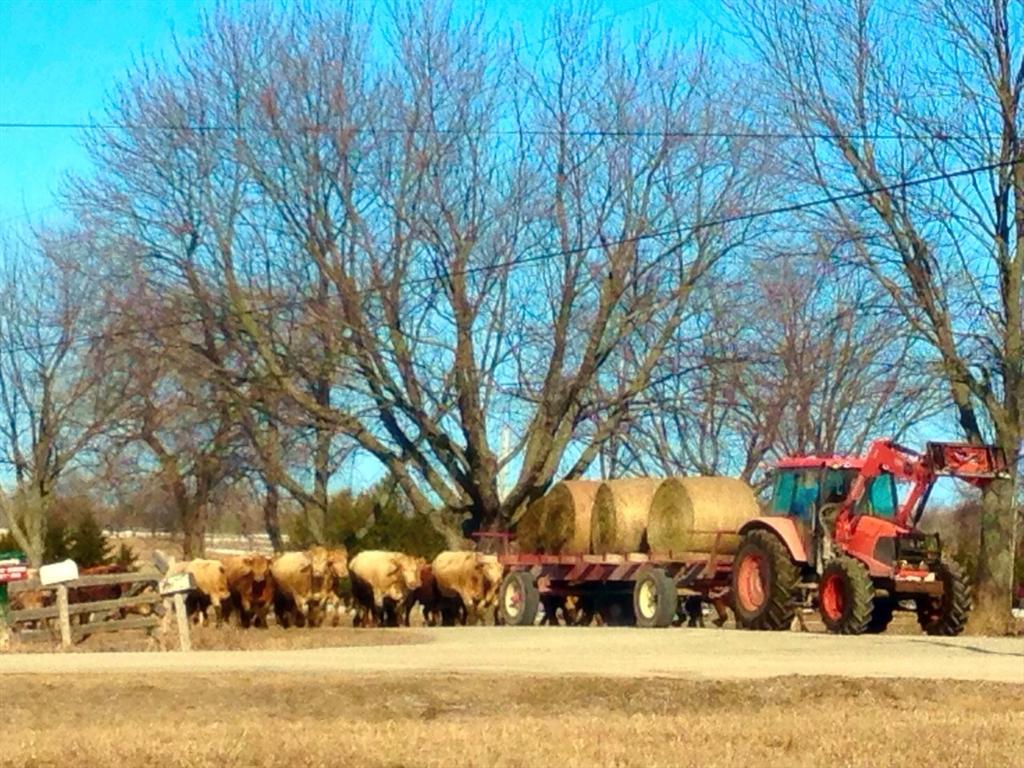 Grandview Farms tweet media