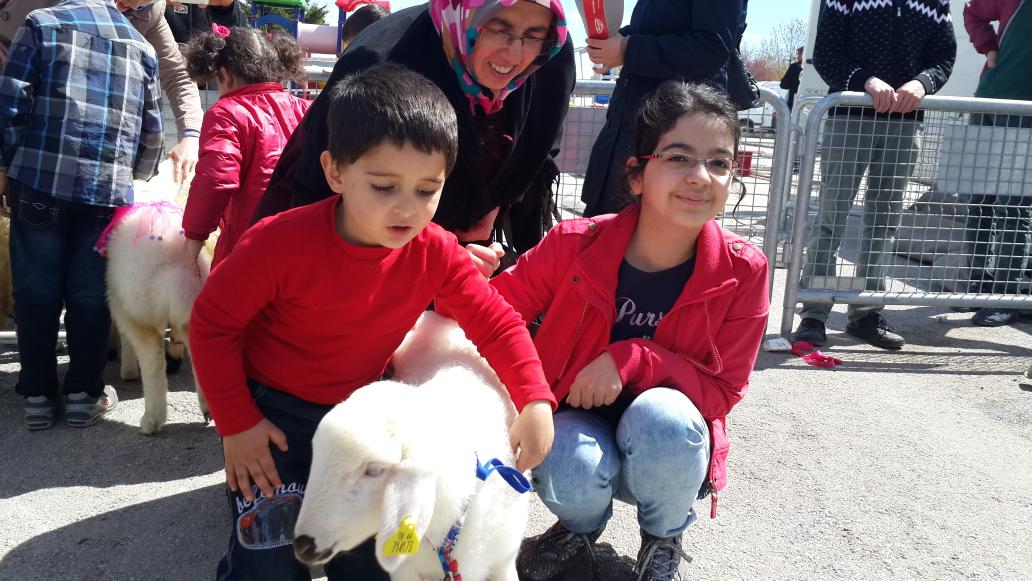 Gömülü resim için kalıcı bağlantı