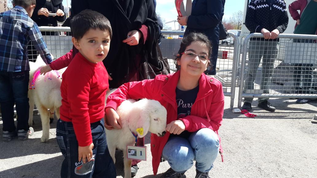 Gömülü resim için kalıcı bağlantı