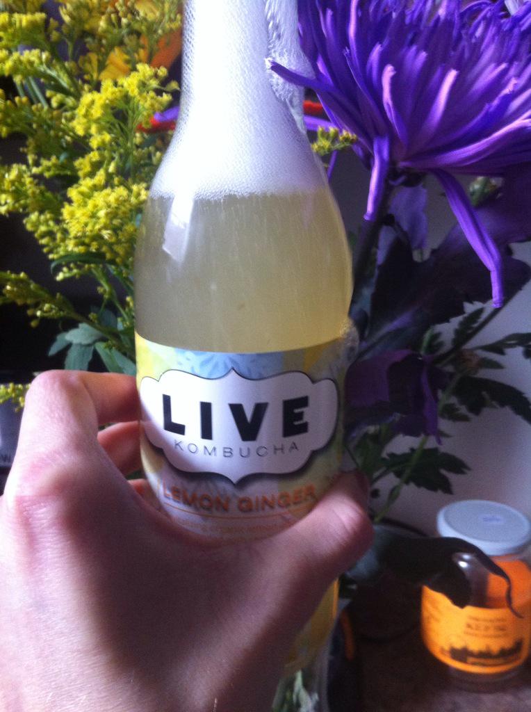 Enjoying this delicious lemon ginger wonder <a href="/LiveKombucha/">Live Kombucha</a>