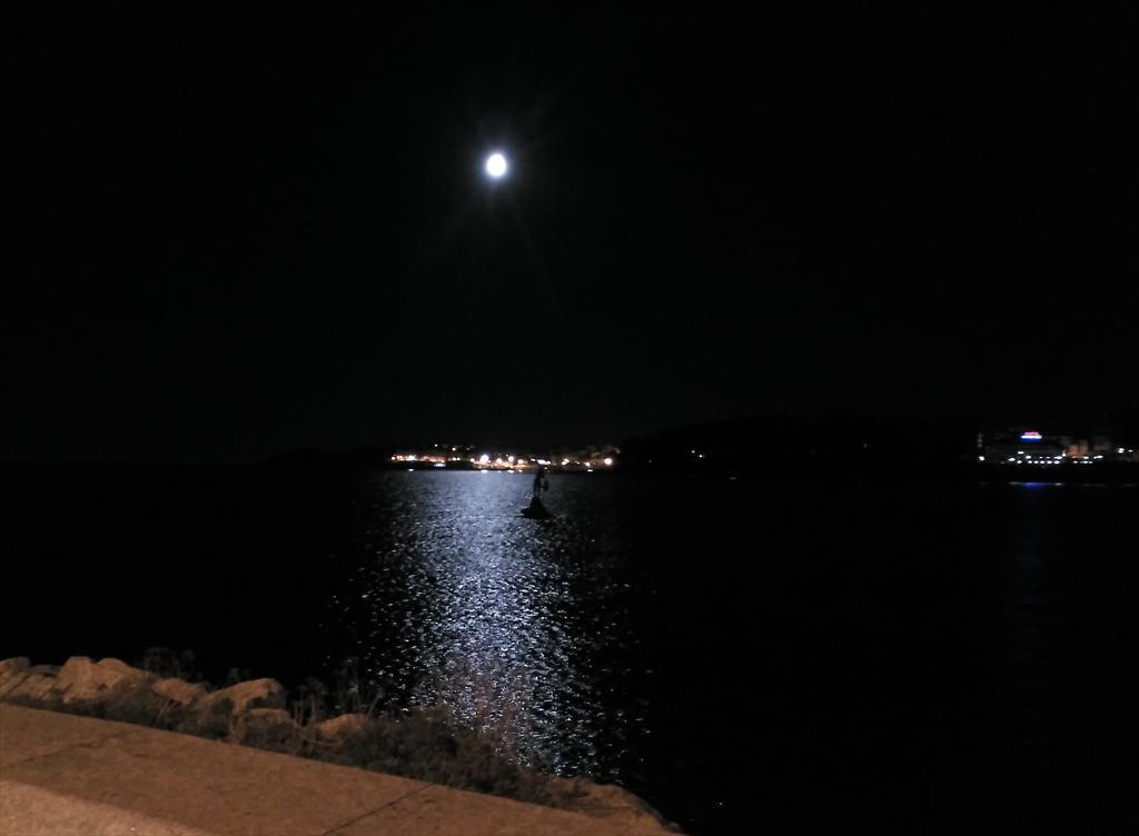 sora_fc's tweet photo. "que las noches con sus lunas y las lunas con sus huesos nos secuestren a los dos..." http://t.co/Bs5O5PFf5q